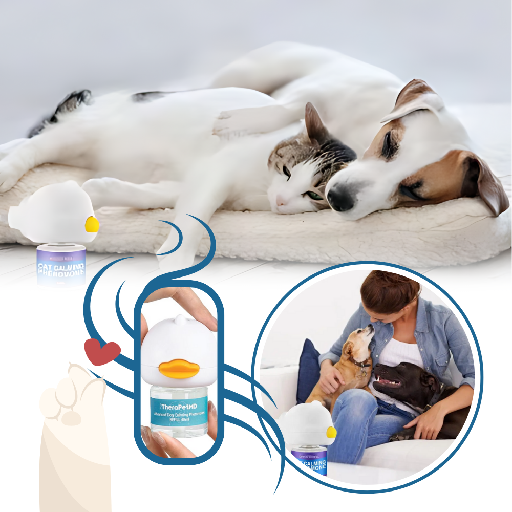 Pet Anxiety Relief Solutions