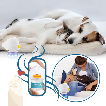Pet Anxiety Relief Solutions