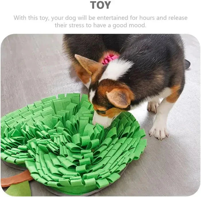 Snuffle Mat for Dogs – Interactive Feeding Puzzle
