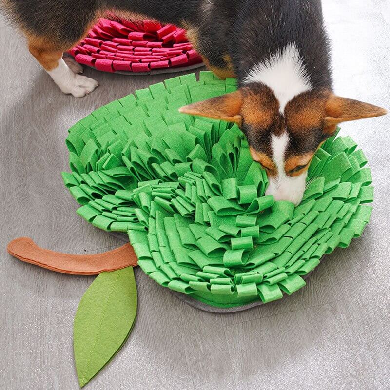 Snuffle Mat for Dogs – Interactive Feeding Puzzle