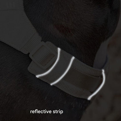 Multi-Functional Leash and Anti-Pull Dog Harness in AquaCool Design