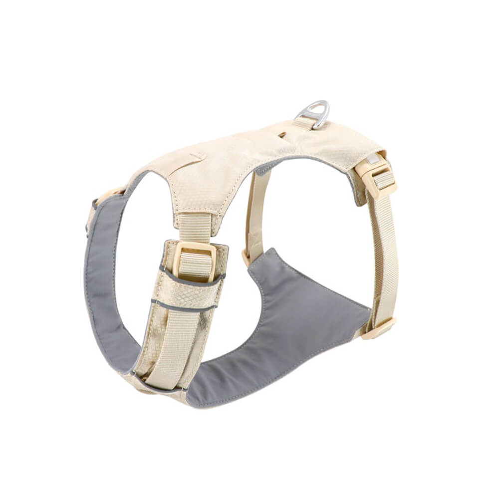 Multi-Functional Leash and Anti-Pull Dog Harness in AquaCool Design