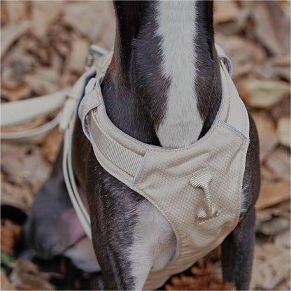 Multi-Functional Leash and Anti-Pull Dog Harness in AquaCool Design