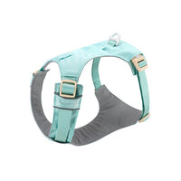 Harness - Blue