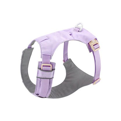 Multi-Functional Leash and Anti-Pull Dog Harness in AquaCool Design
