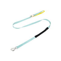 Leash - Blue
