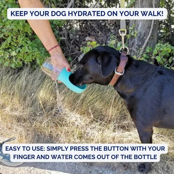 Portable Water Bottle for Dogs – AquaPaws Design
