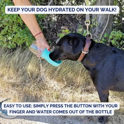 Portable Water Bottle for Dogs – AquaPaws Design