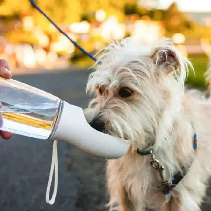 Portable Water Bottle for Dogs – AquaPaws Design