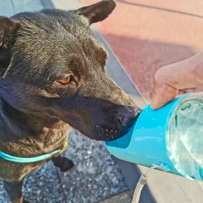 Portable Water Bottle for Dogs – AquaPaws Design