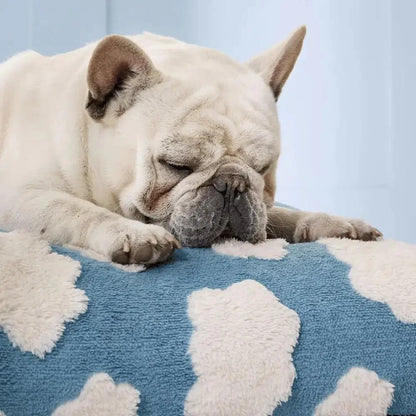 Waterproof Dog Bed for Indoor and Outdoor Use – AquaRest