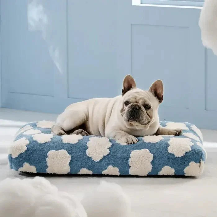 Waterproof Dog Bed for Indoor and Outdoor Use – AquaRest