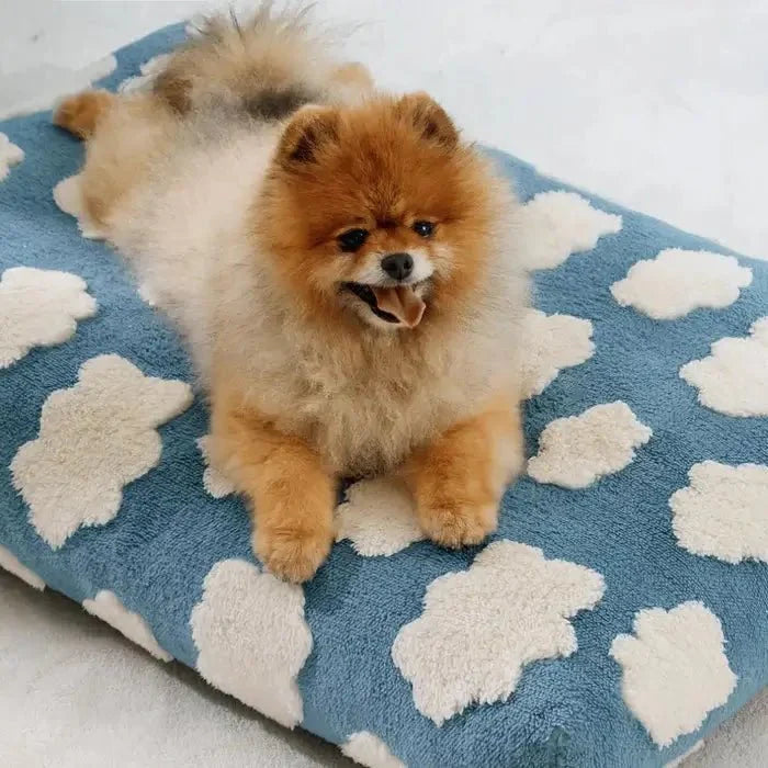 Waterproof Dog Bed for Indoor and Outdoor Use – AquaRest