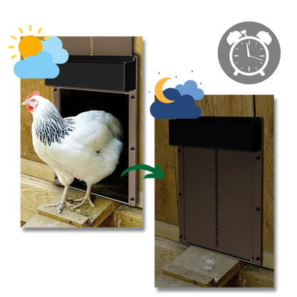 Automatic Chicken Coop Door