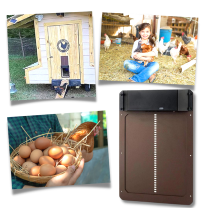 Automatic Chicken Coop Door