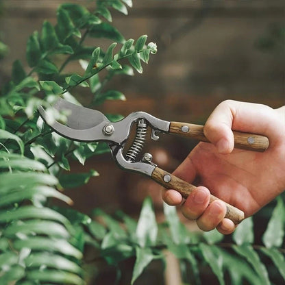 Buy One, Get One Free | HerbiCut - Effortless Clean Cuts for Healthy Plants