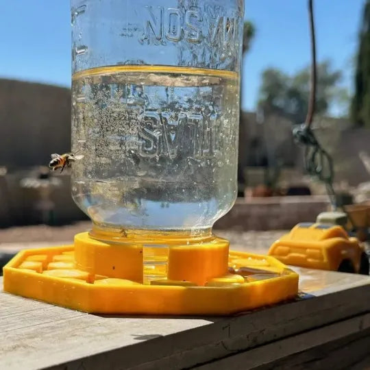 Pollinator Oasis: Safe Drinking Station for Bees | Weatherproof & Eco-Friendly