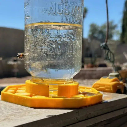 Pollinator Oasis: Safe Drinking Station for Bees | Weatherproof & Eco-Friendly