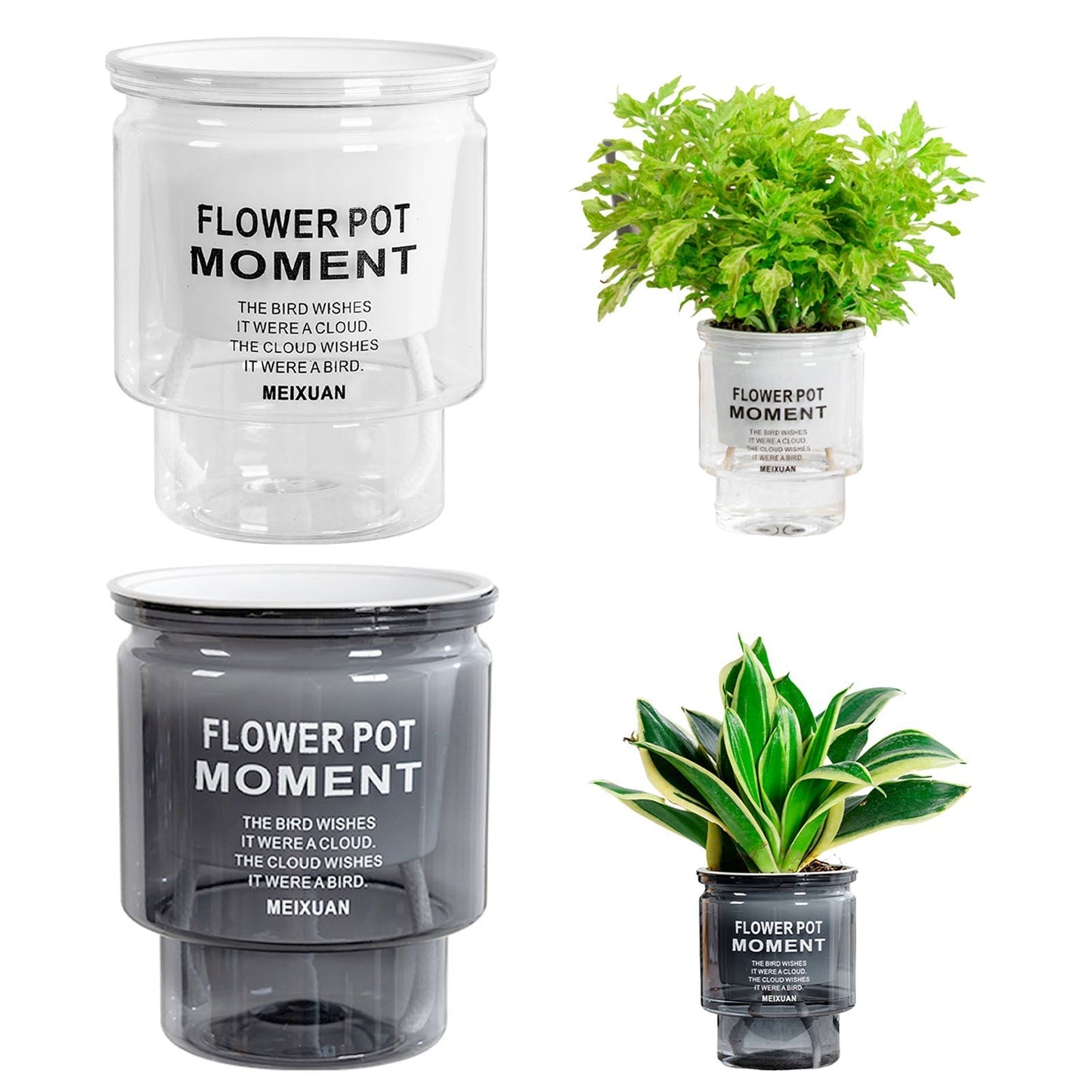 Effortless Watering System for Succulents - Aqua Planter
