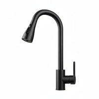 Pull-out Faucet - Black