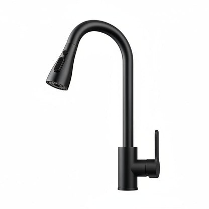 Flexible Pull-Out Kitchen Faucet with Swivel and Spray Options