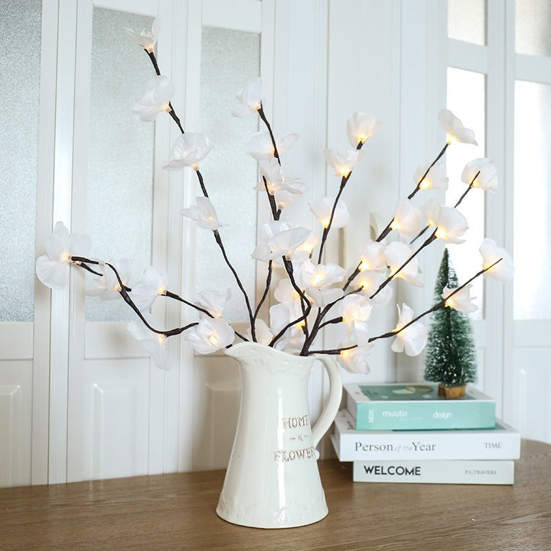 Transform Any Room with Warm, Enchanting Natural Light