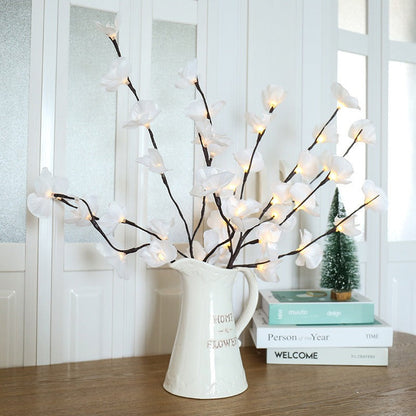 Transform Any Room with Warm, Enchanting Natural Light