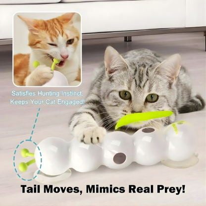 Window Play Station for Cats | 40 cm Interactive Toy