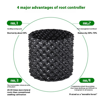 Enhanced Root Growth Solution for Flourishing Plants
