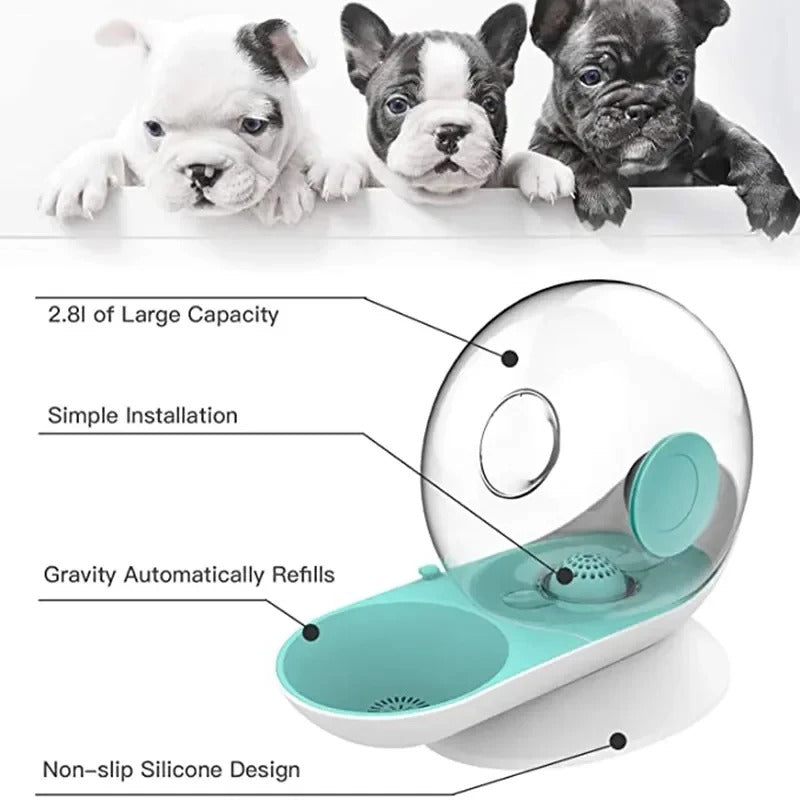 Automatic Pet Water Fountain with Stainless Steel Tank for Cats and Dogs