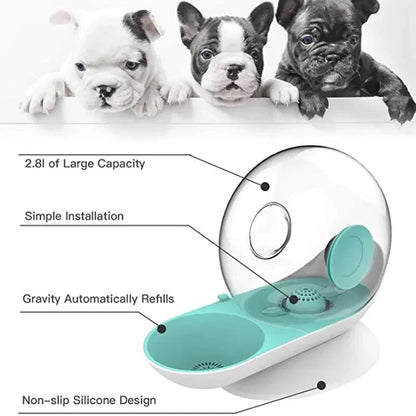 Automatic Pet Water Fountain with Stainless Steel Tank for Cats and Dogs