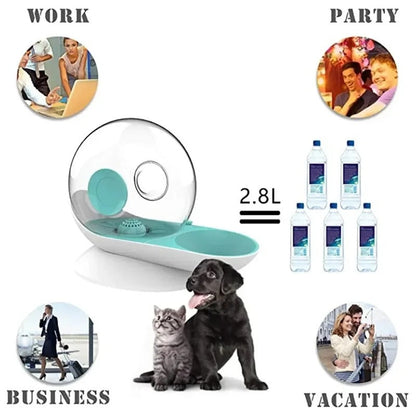 Automatic Pet Water Fountain with Stainless Steel Tank for Cats and Dogs