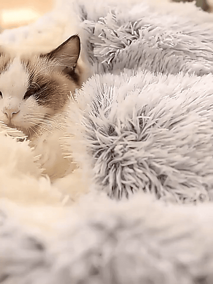 Dog Beds for Relaxing Sleep and Comfort