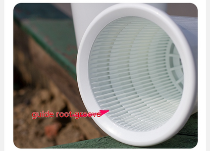 Promote Strong, Healthy Roots for Vibrant Plant Growth