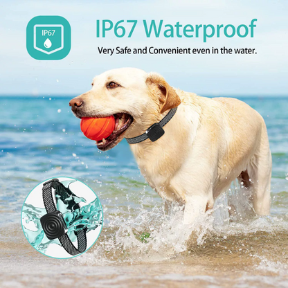 Anti-Bark Collar for Small Dogs