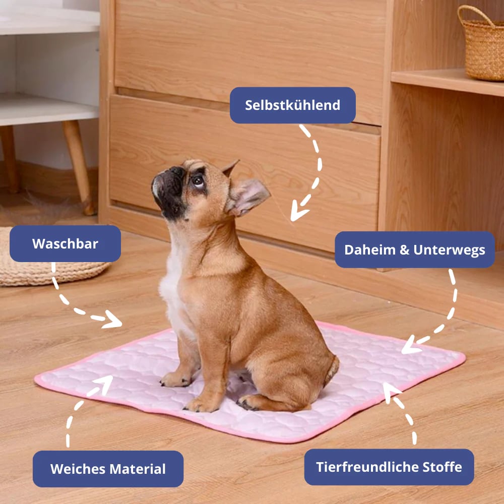 Keeps Your Dog Cool, Calm, and Comfortable All Day