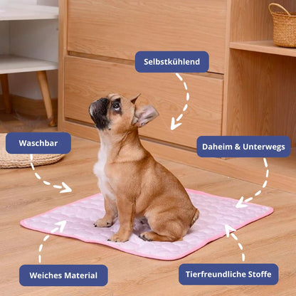 Keeps Your Dog Cool, Calm, and Comfortable All Day