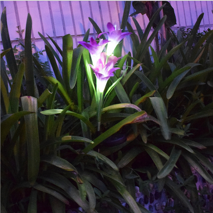 Solar LED Flower Lights – Color Changing Garden Stakes for Outdoors