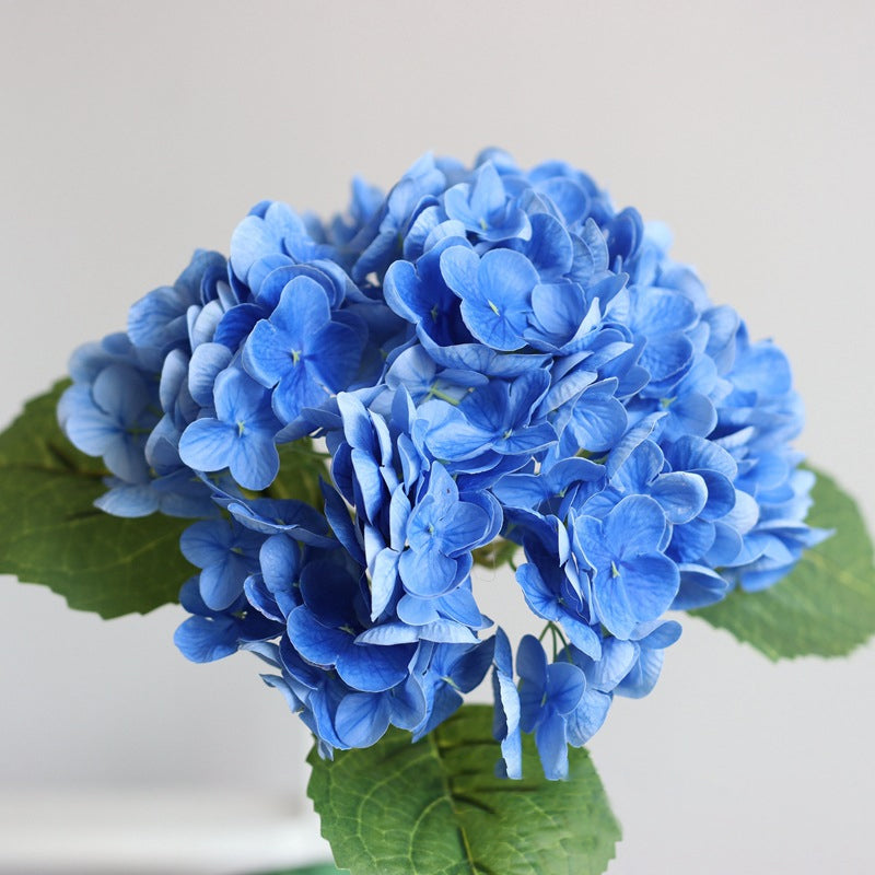 Forever Lively Flowers Without Maintenance - Hydrangea Decoration