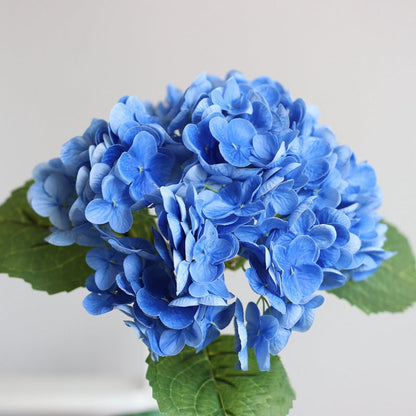 Forever Lively Flowers Without Maintenance - Hydrangea Decoration