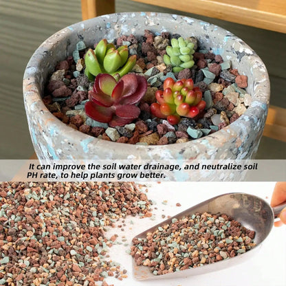 Green Lava Granulate Mix for Succulents & Bonsai - Drainage System | 100g–800g
