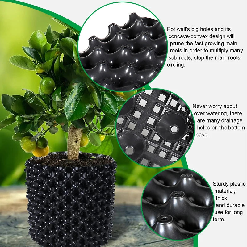 Planting Pots for Enhanced Growth and Root Management | Garden & Bonsai
