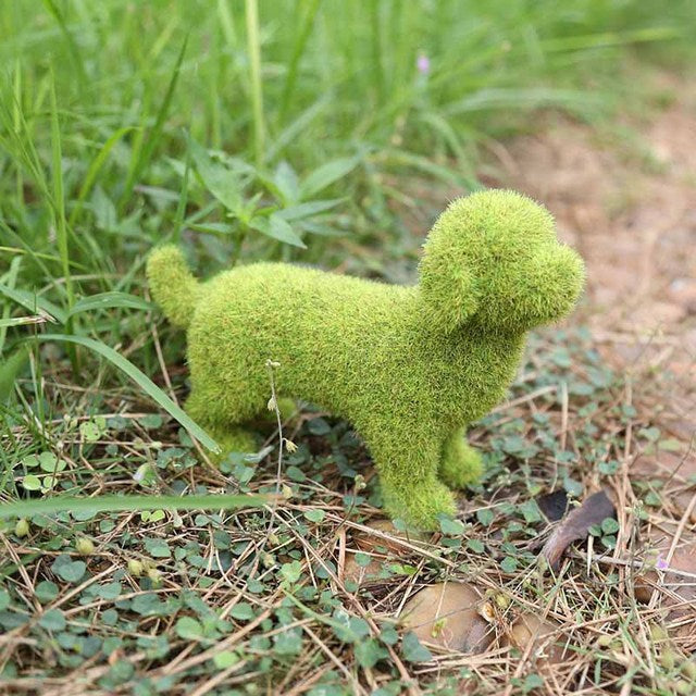 Transform Your Garden into a Lush Oasis Instantly