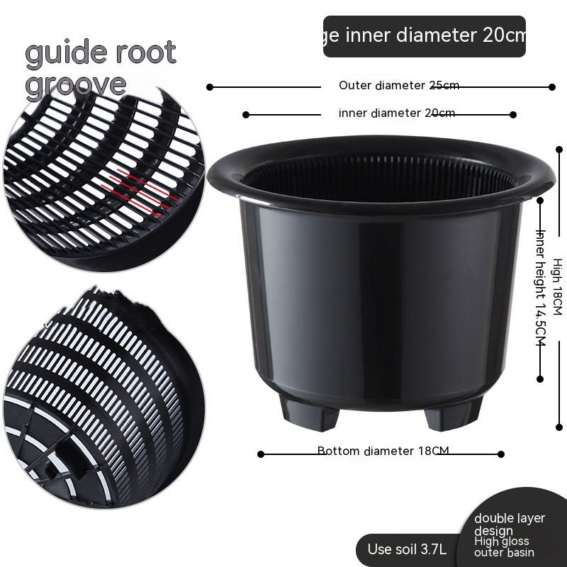 Promote Strong, Healthy Roots for Vibrant Plant Growth