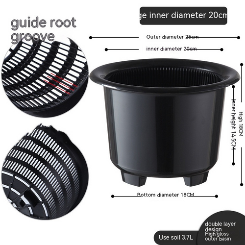 Promote Strong, Healthy Roots for Vibrant Plant Growth