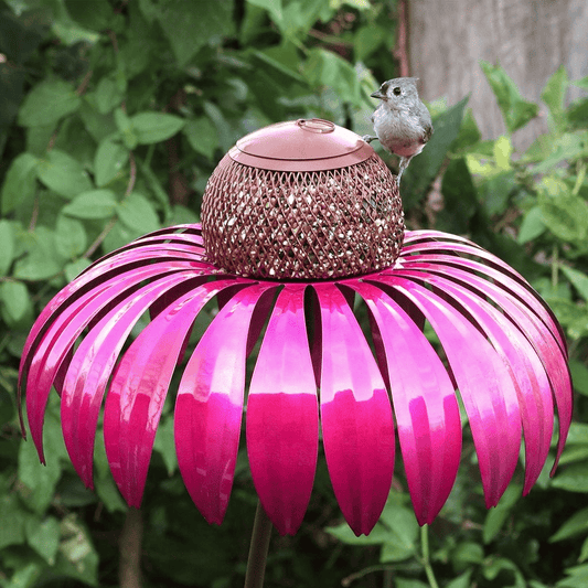 Buy One Get One Free | Kegel Flower Bird Feeder