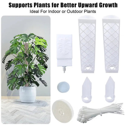 D-Shape Plant Support Grid Set | Semi-Transparent | Self-Watering | Stackable