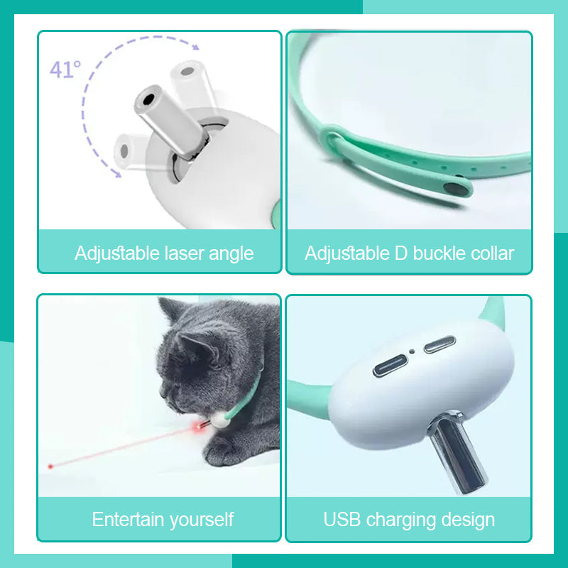 Keep Your Cat Healthy, Happy, and Energetic Every Day