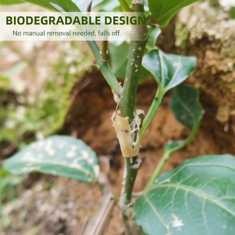Safe and Fast Healing Grafting Sleeves for Enhanced Yields