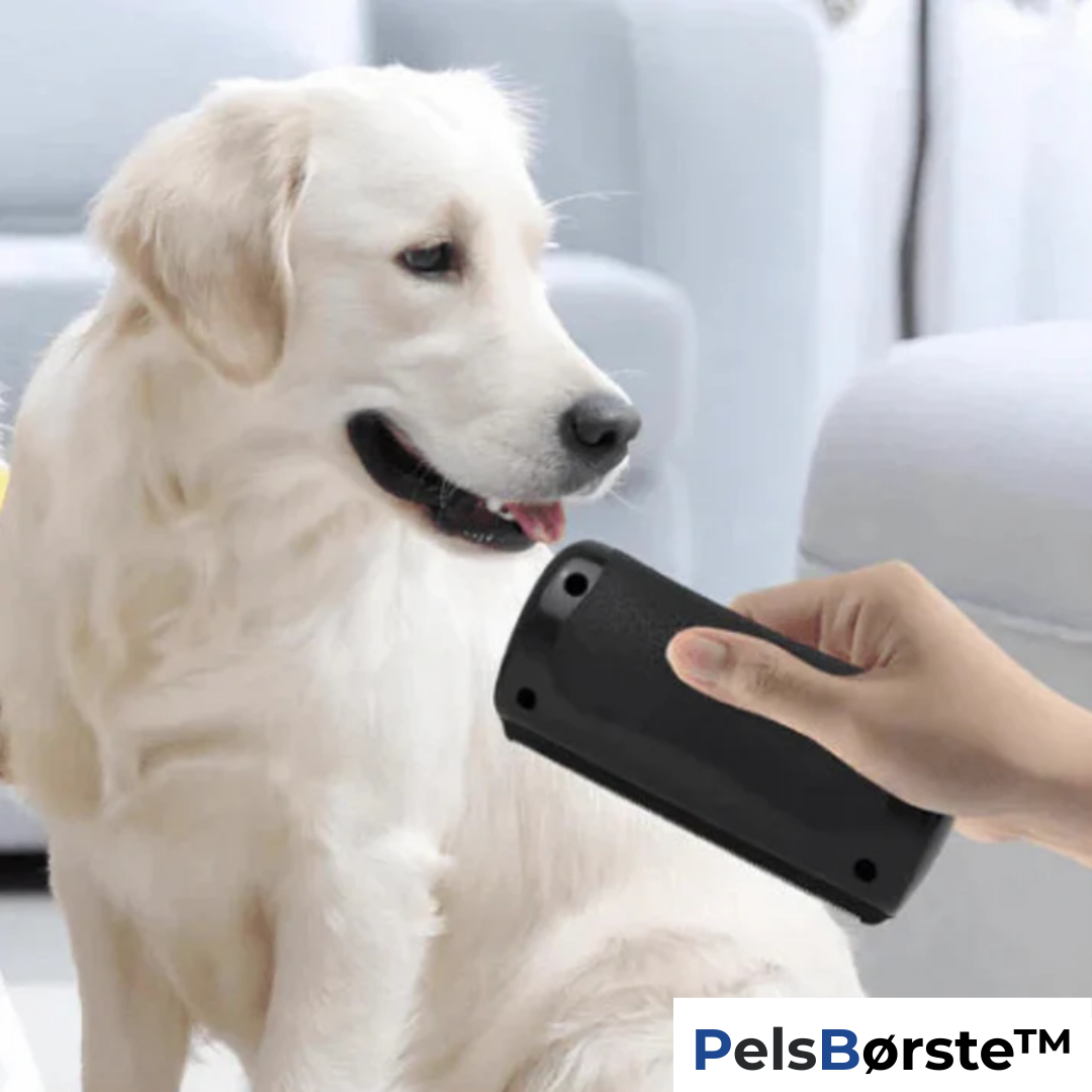 Effortlessly Stop Hair Loss and Fleas for a Cleaner Home